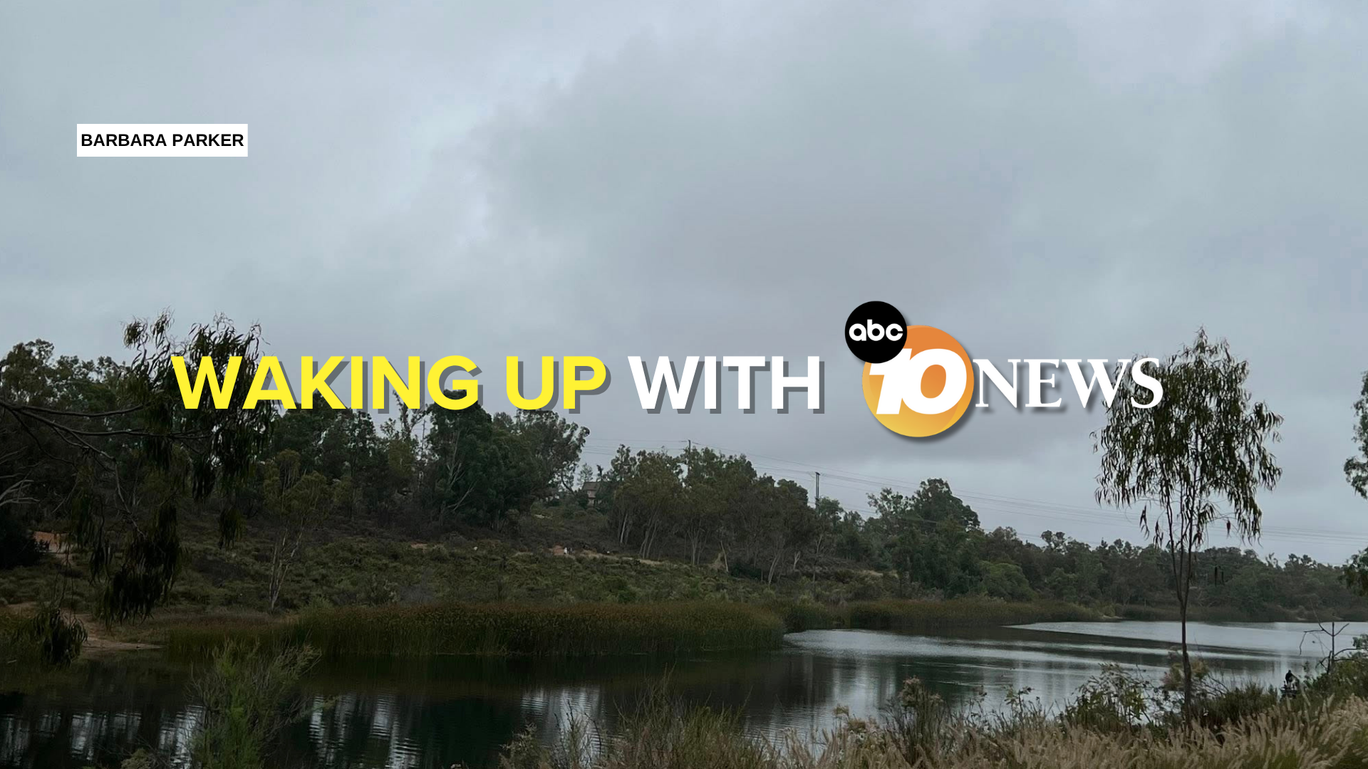 newsletter_grey_sky_overcast_lake_murray_barbara_parker.png