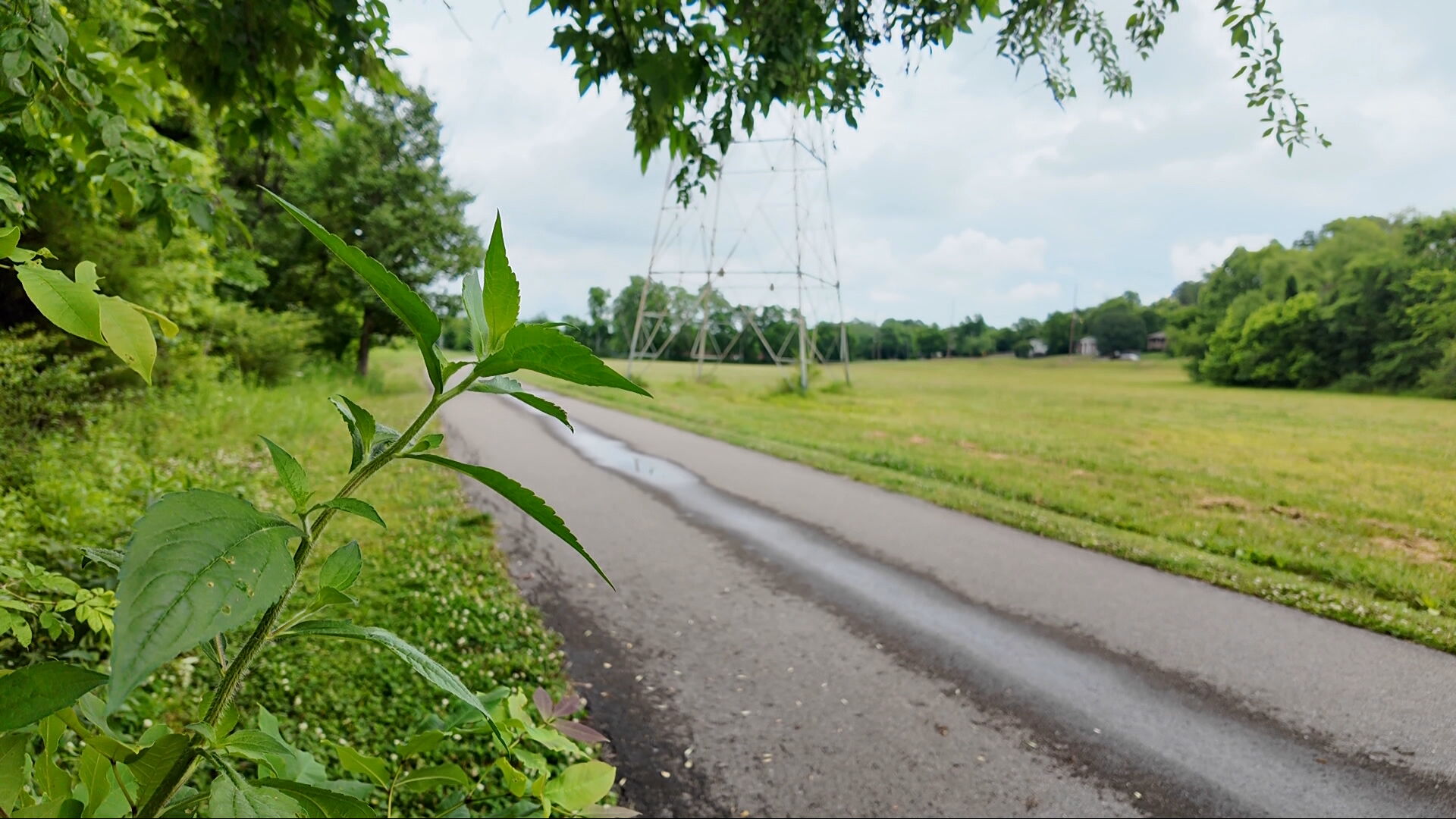 Seven Mile Creek Greenway concerns