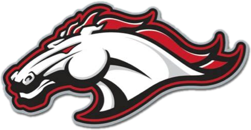 Bellevue High School