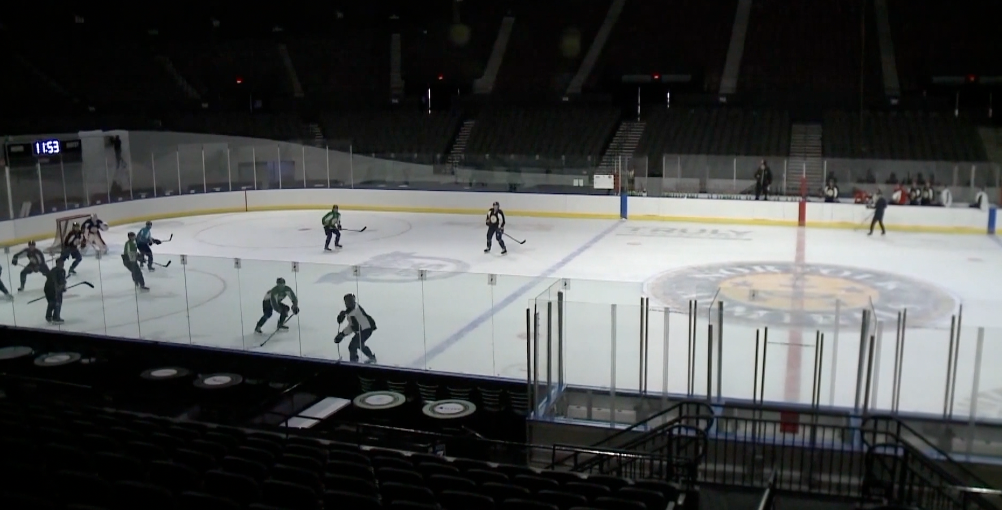 Norfolk Admirals.png