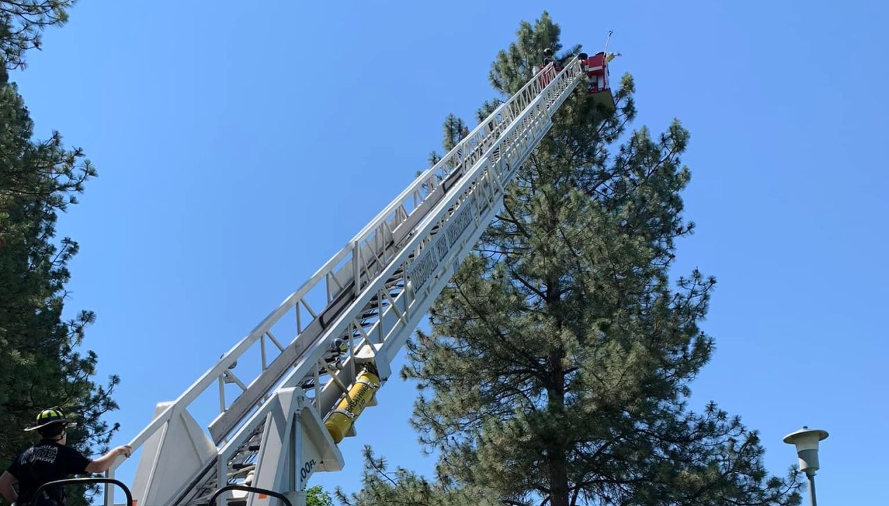 Missoula Fire Department (MFD) rescued a student paraglider