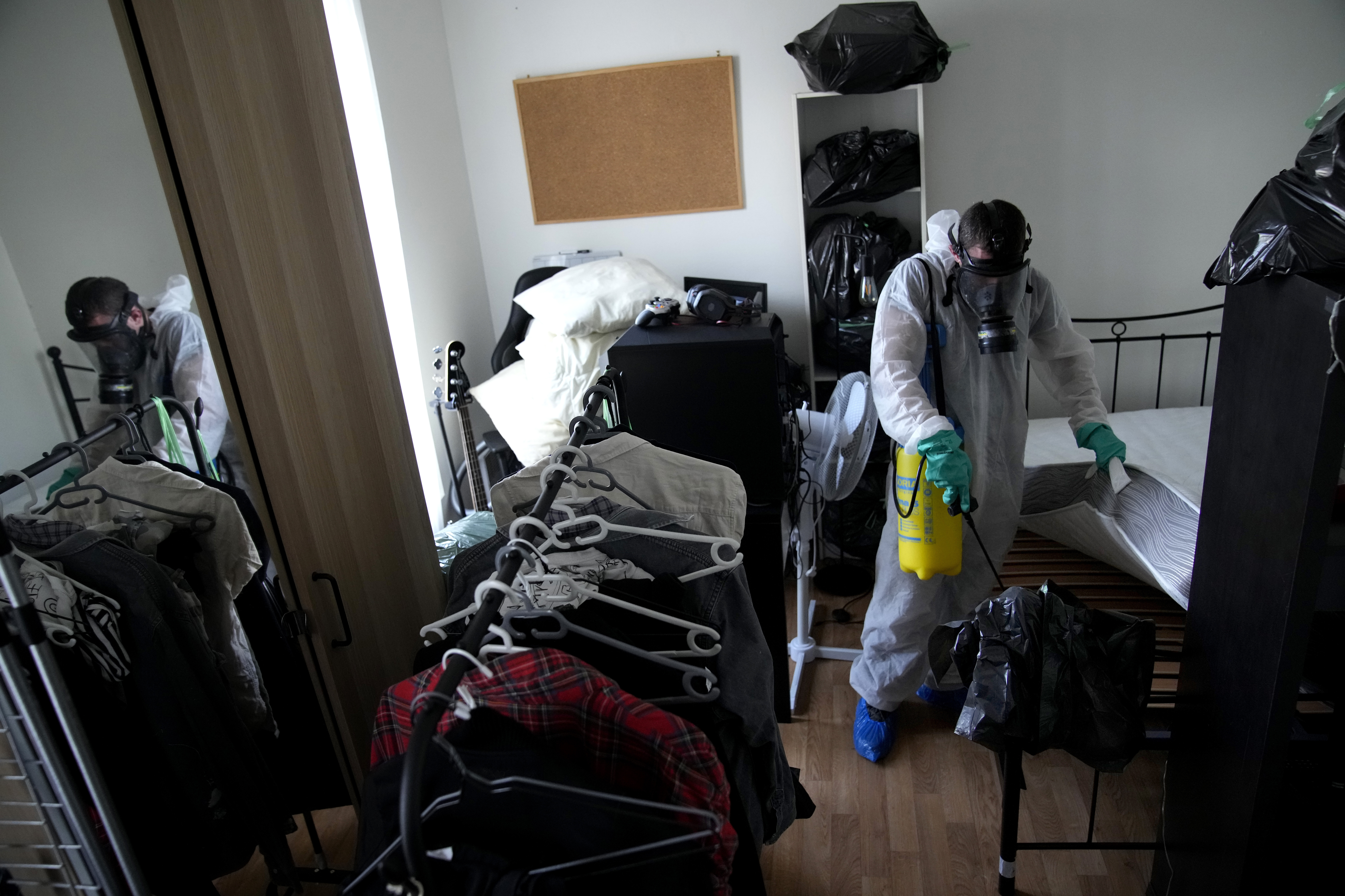France Bedbugs