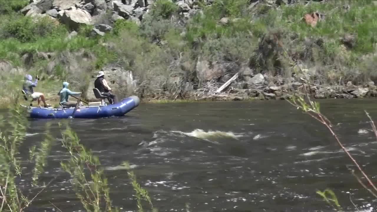 Poster image (9).jpg