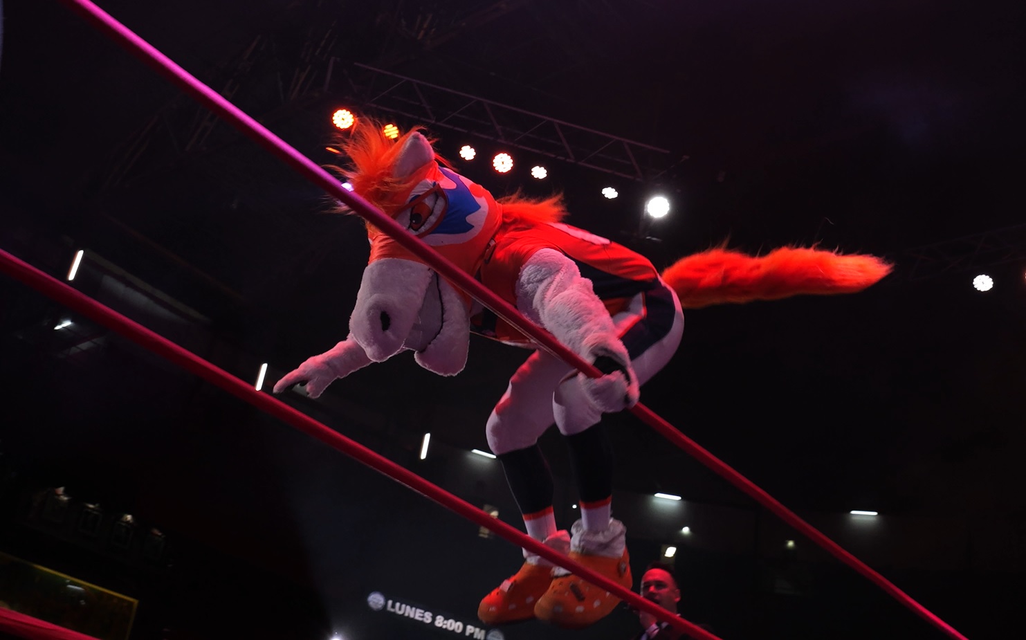 Broncos Mascot Miles.jpg