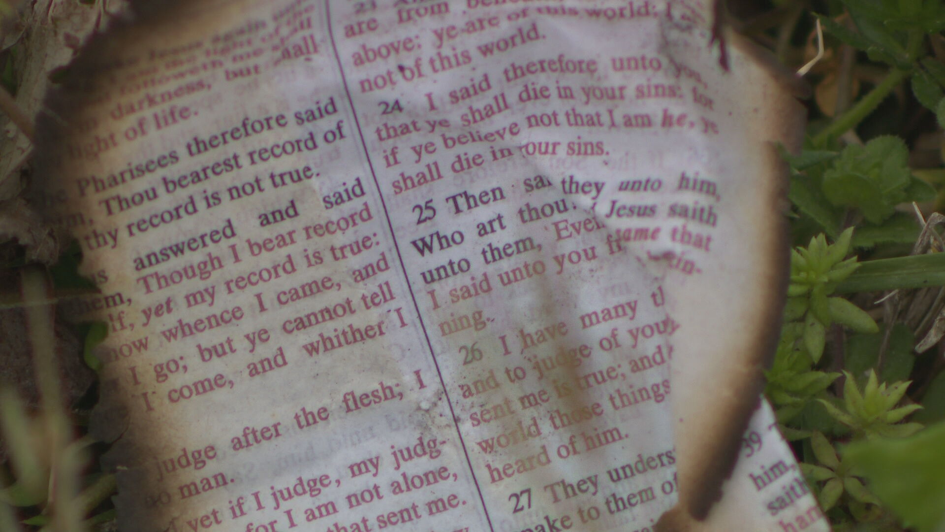 burnedbible.jpeg