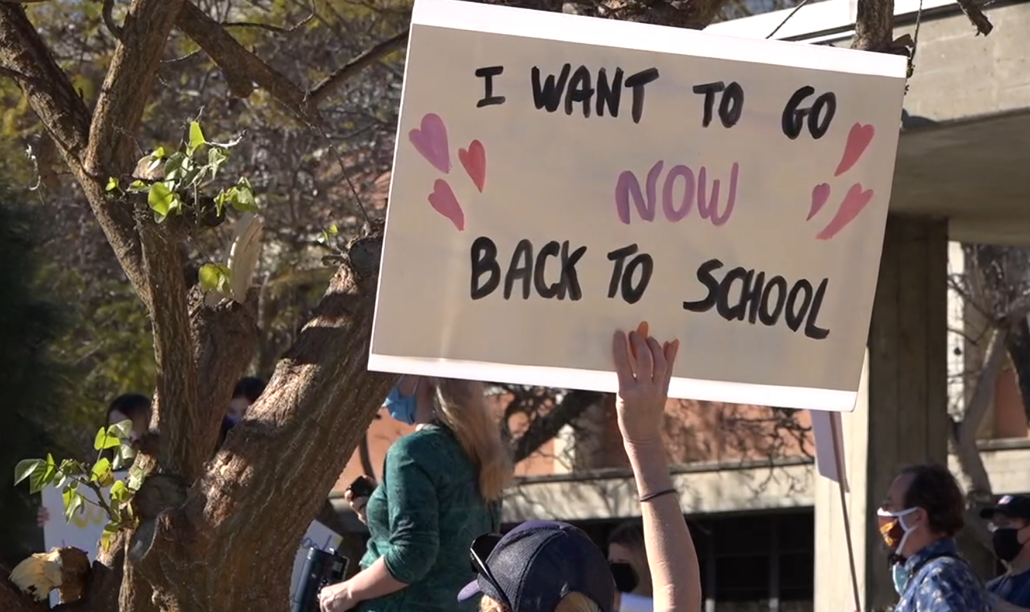schools web.PNG