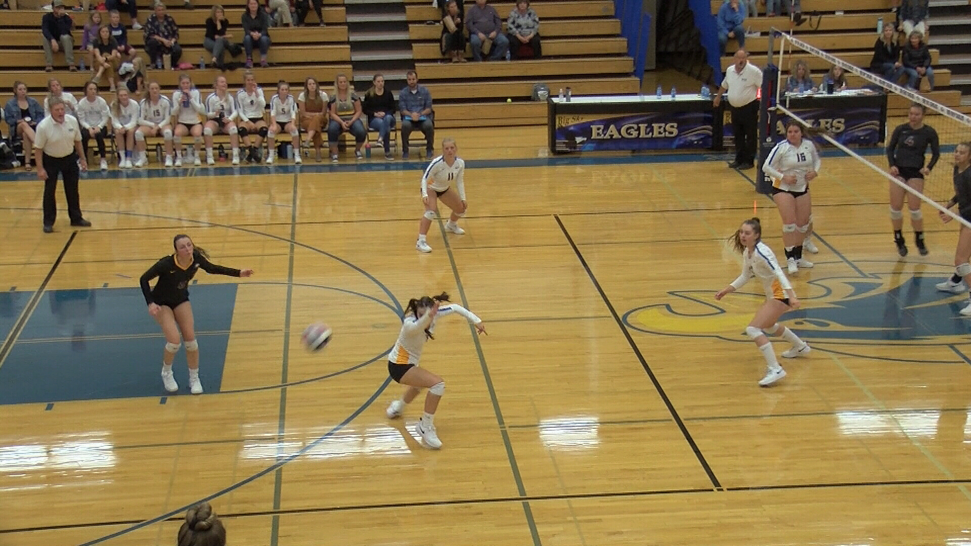 big sky vball.jpg