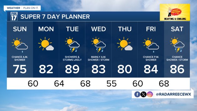 7 DAY FORECAST