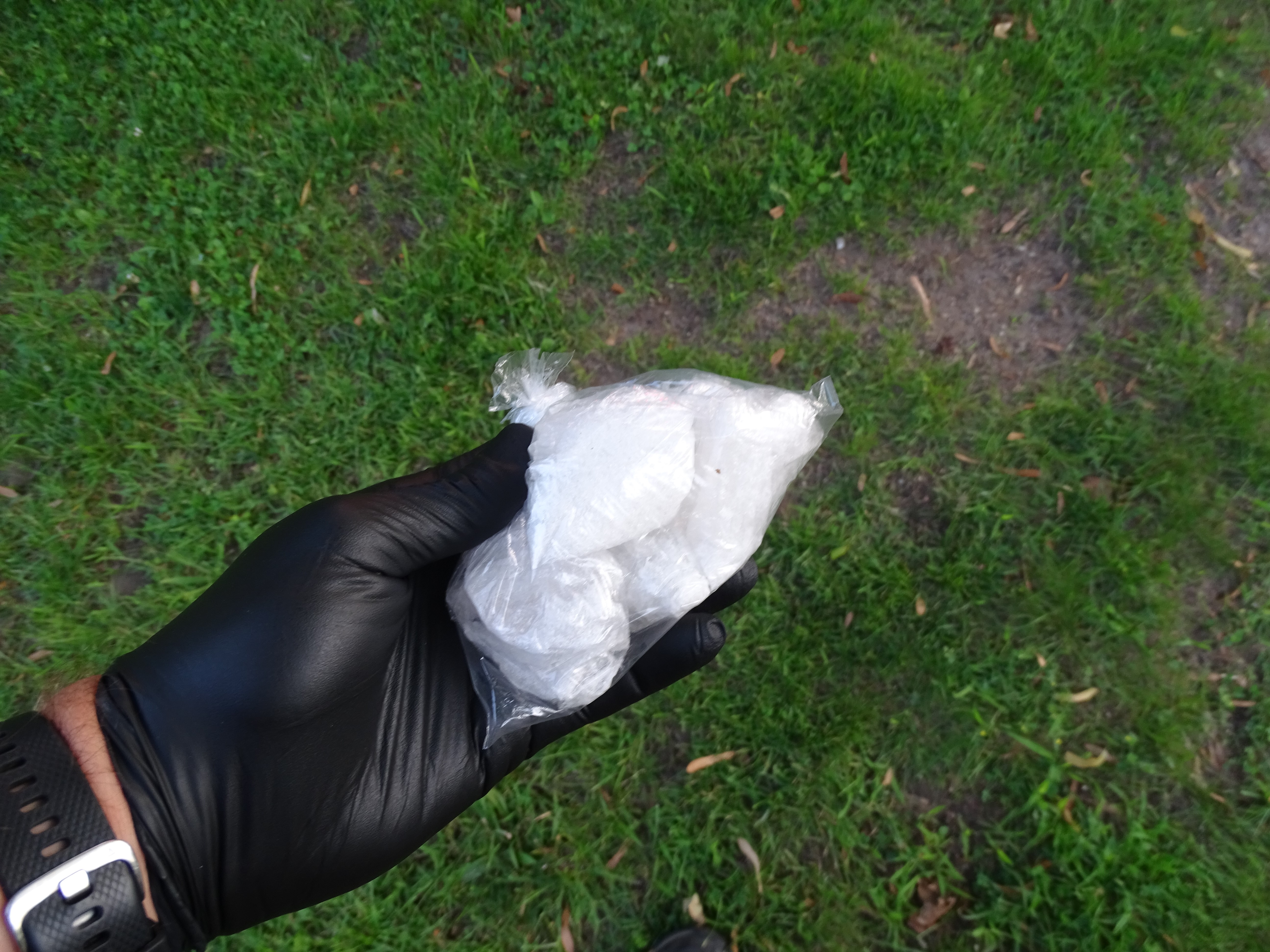 Drugs SWET Arrest.jpg