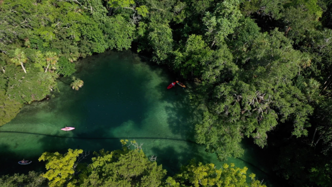 weeki wachee springs.png