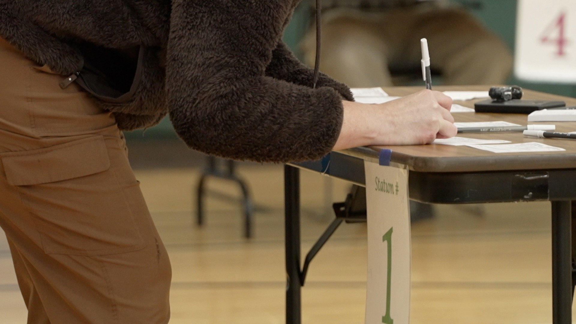 ELECTIONS HOLLAND.jpg