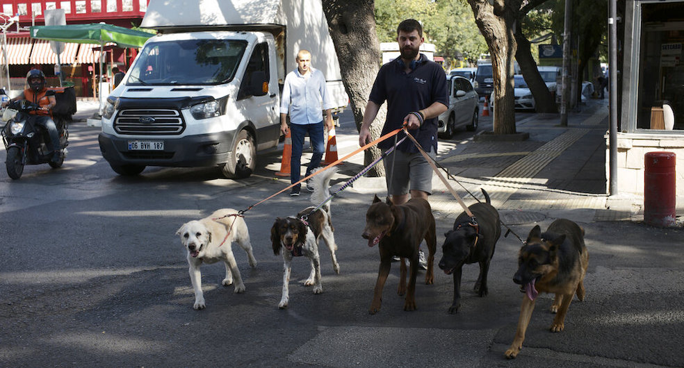 Turkey Daily Life