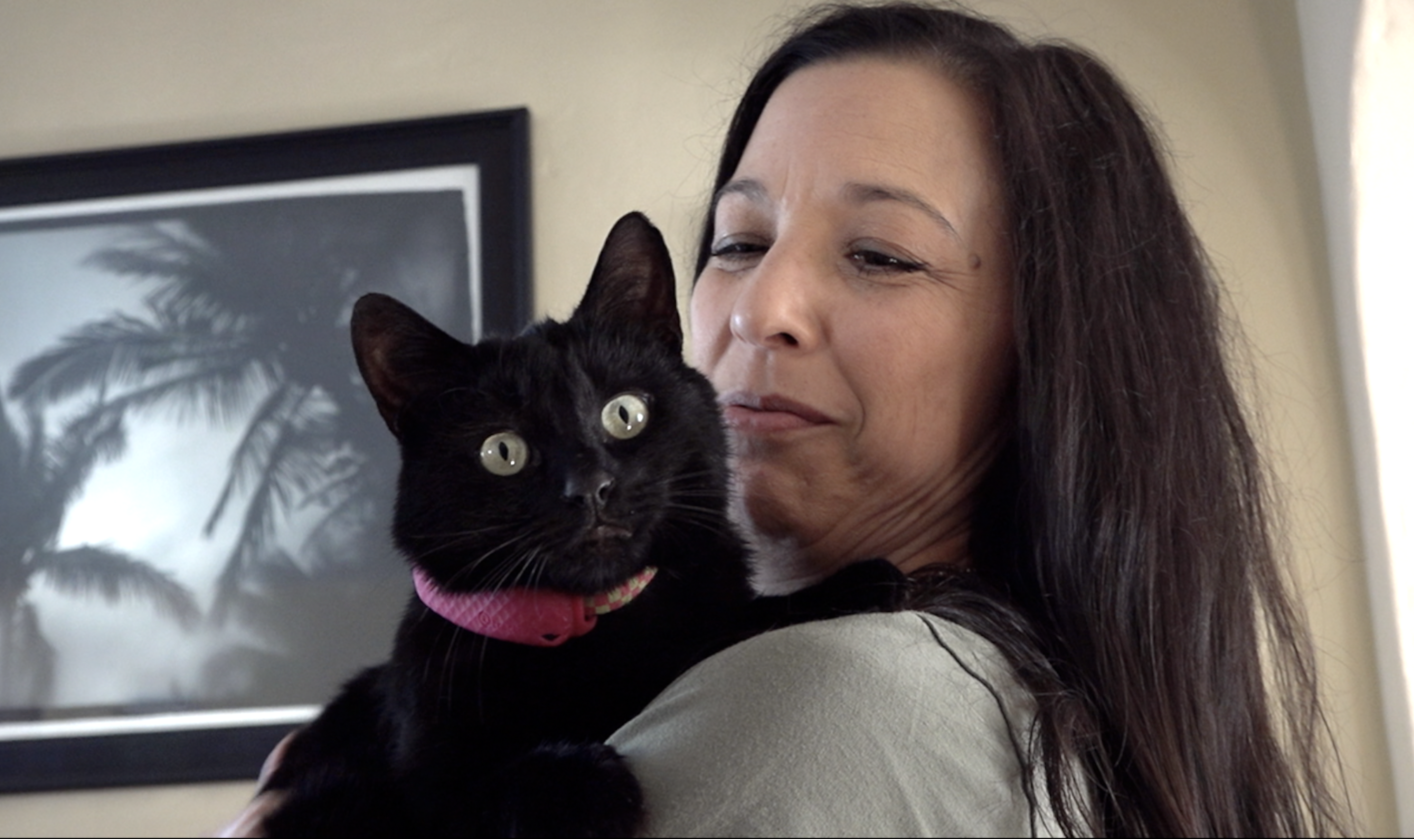 Thanksgiving Miracle: Retired officer searches for four months in the wild and finds runaway cat