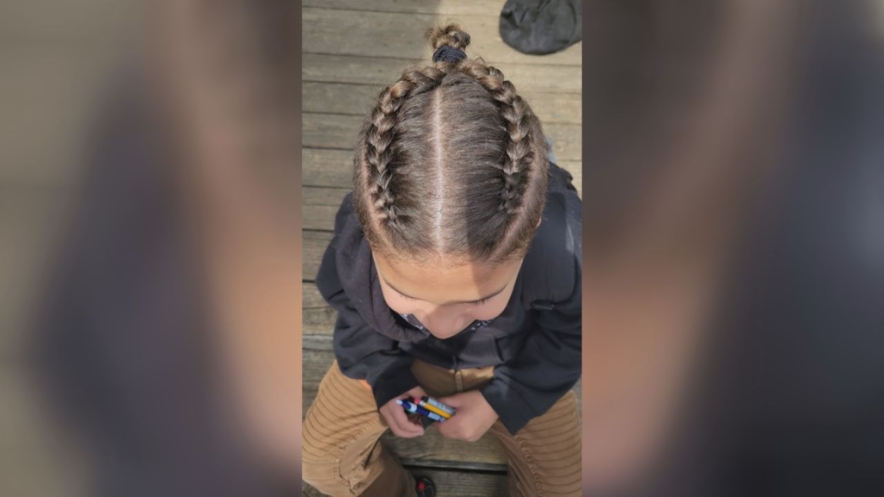 TROYBRAIDEDHAIR00000000.jpg