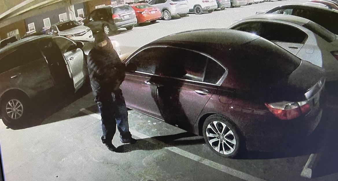 Suspects break into at least 20 cars at two Lone Tree apartment complexes
