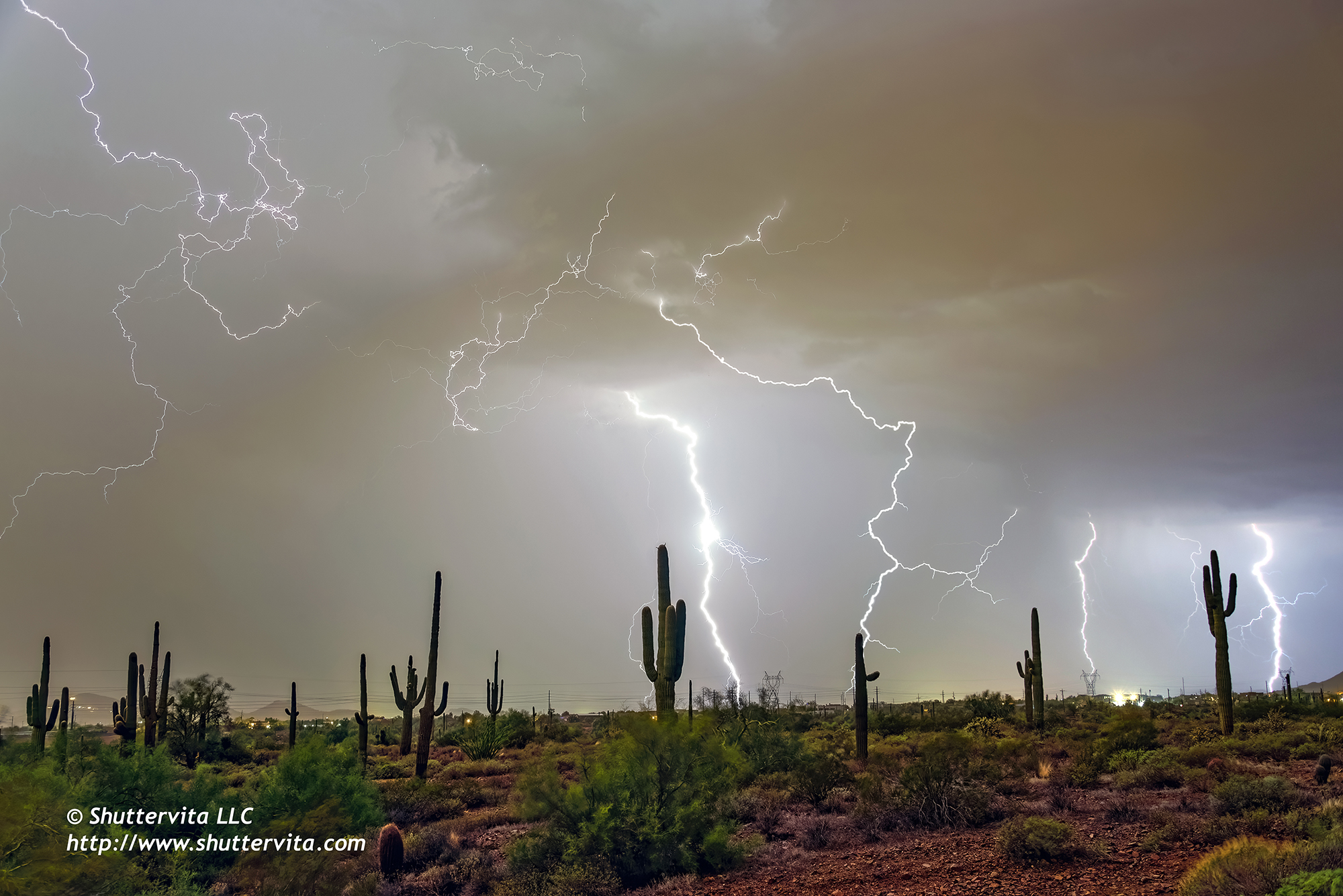 Dennis Taylor monsoon 2022