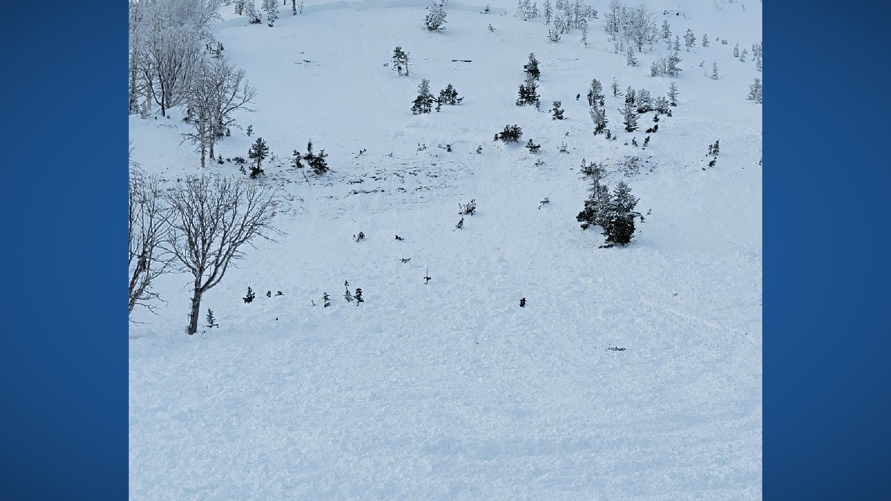 avalanche cover.jpg