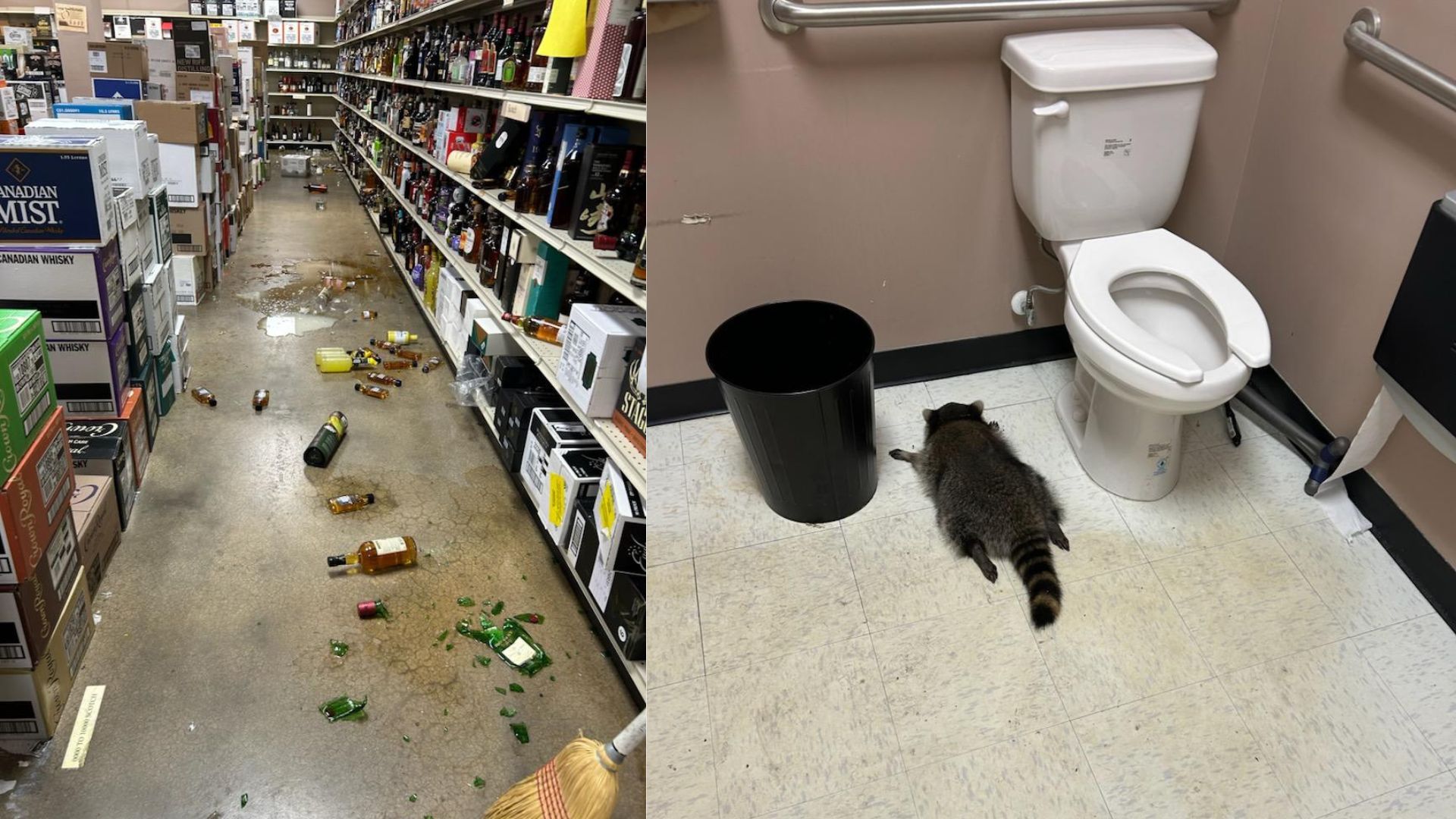 MICHAEL THUMBNAILS (10).jpg