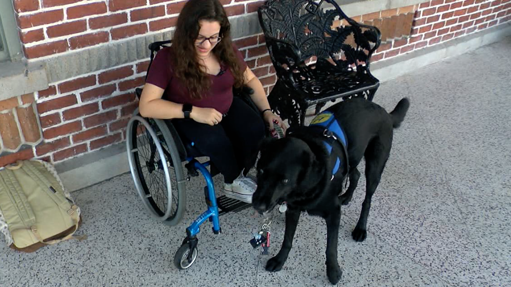Nerf the service dog with Leigh Dittman