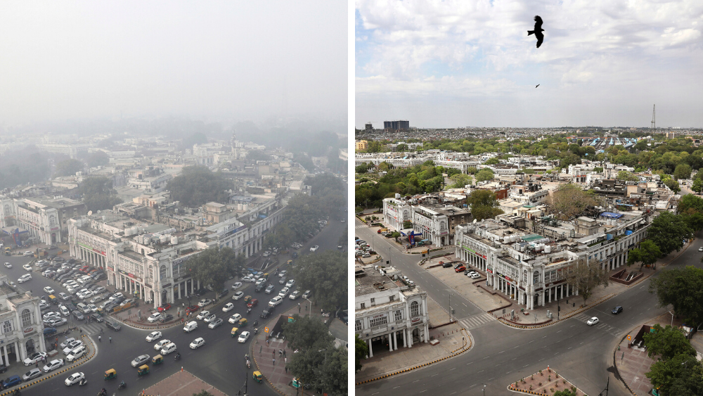 Pollution levels plummet, wildlife enters city amid coronavirus lockdowns