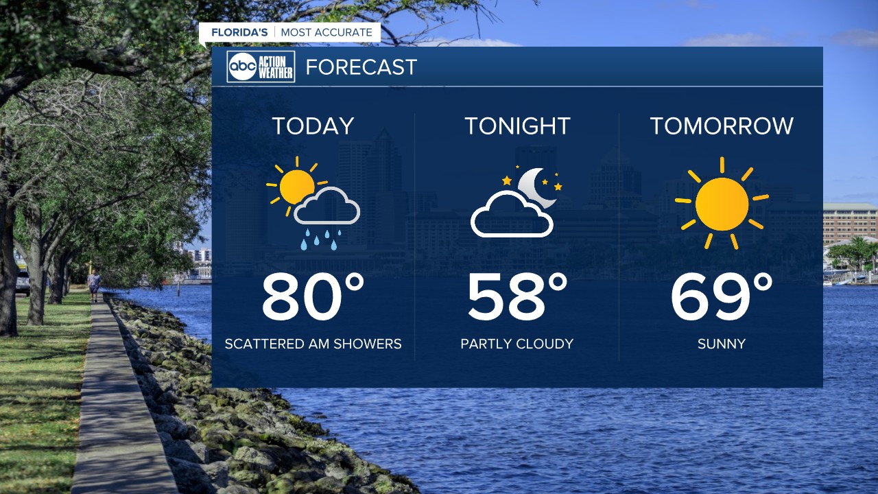 forecast 11.20.jpg