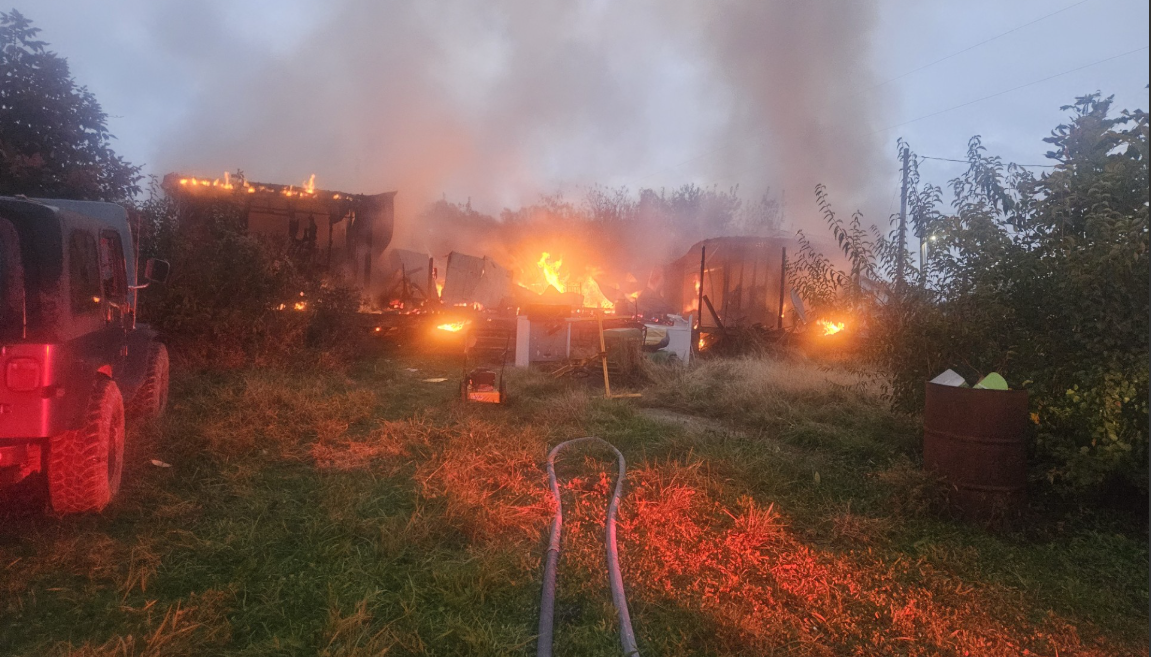 image - 2025-10-30T103945.299.png