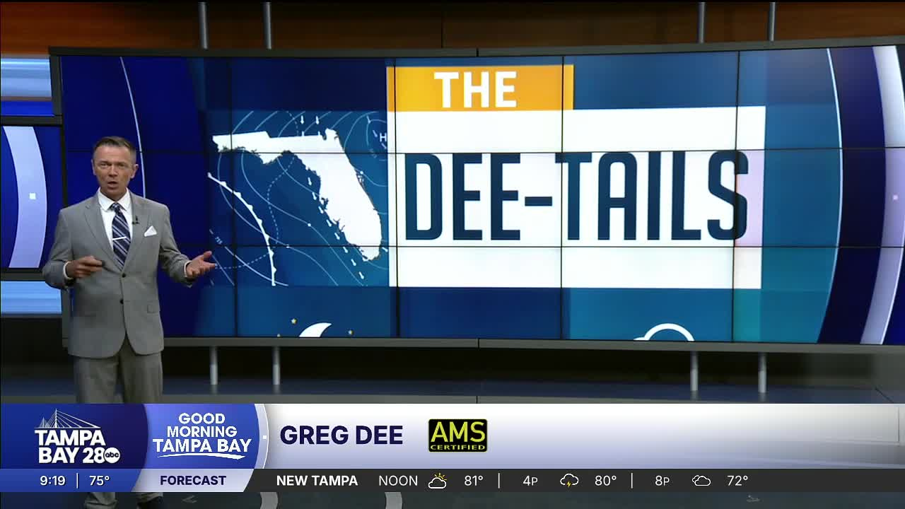 dee tails gulf warm up.png