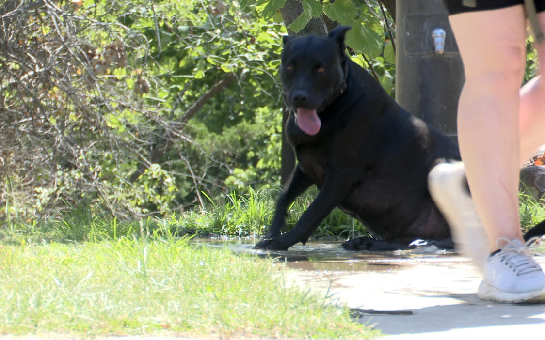 Turkey Mountain Heat Advisory.png