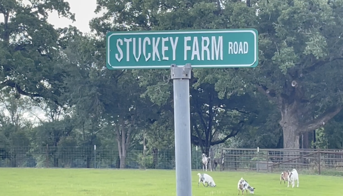 Grimes County neighbors still searching for answers about SpaceX project, effect on land and lives