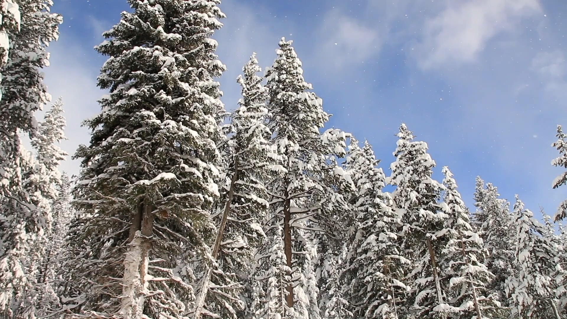 La Nina should offer relief, but no guarantees to stop Montana's drought - Vimarsana News