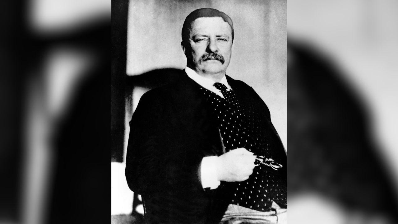 Theodore Roosevelt, the 26th president of the United States, is seen in this undated picture. 