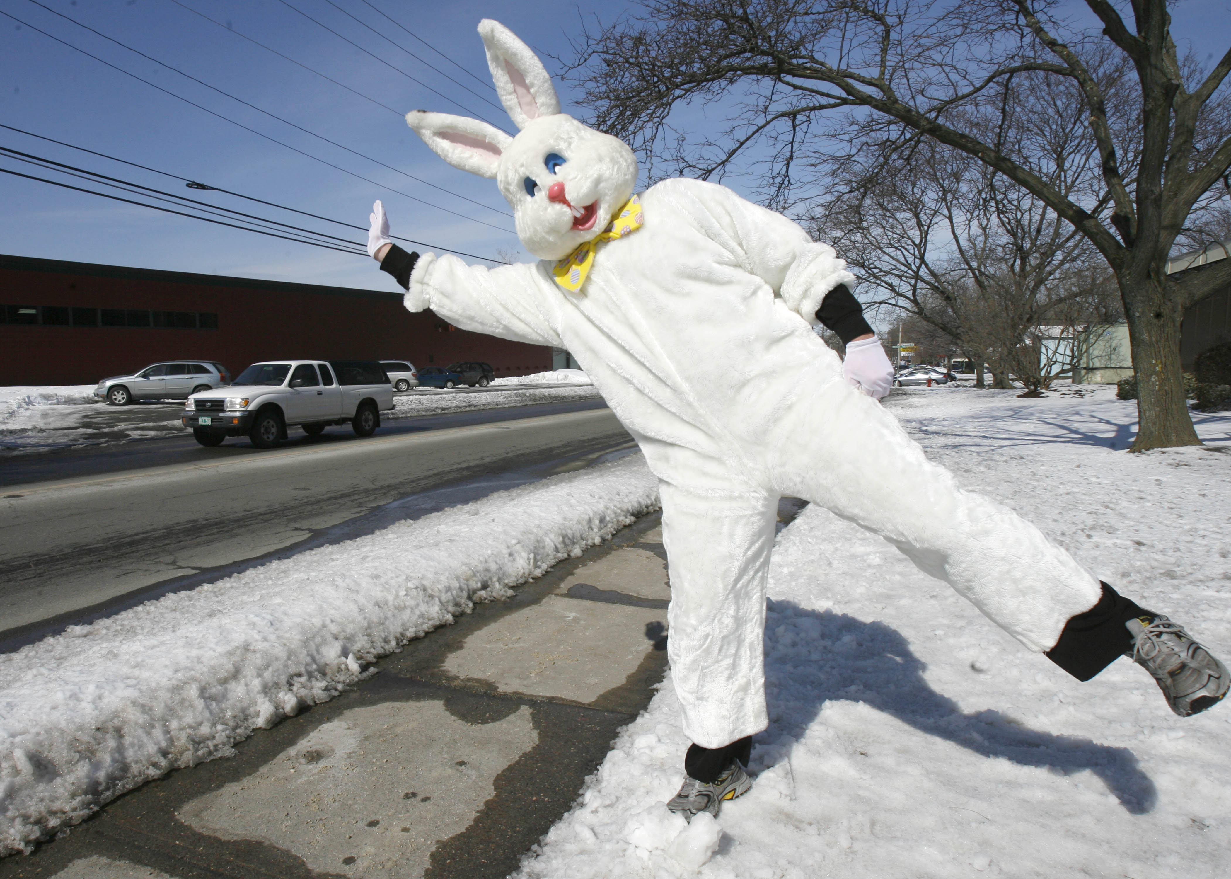 Easter Bunny