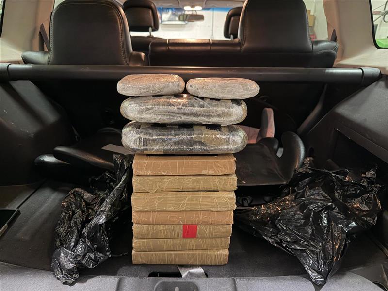 san clemente cbp bust 11/24/25