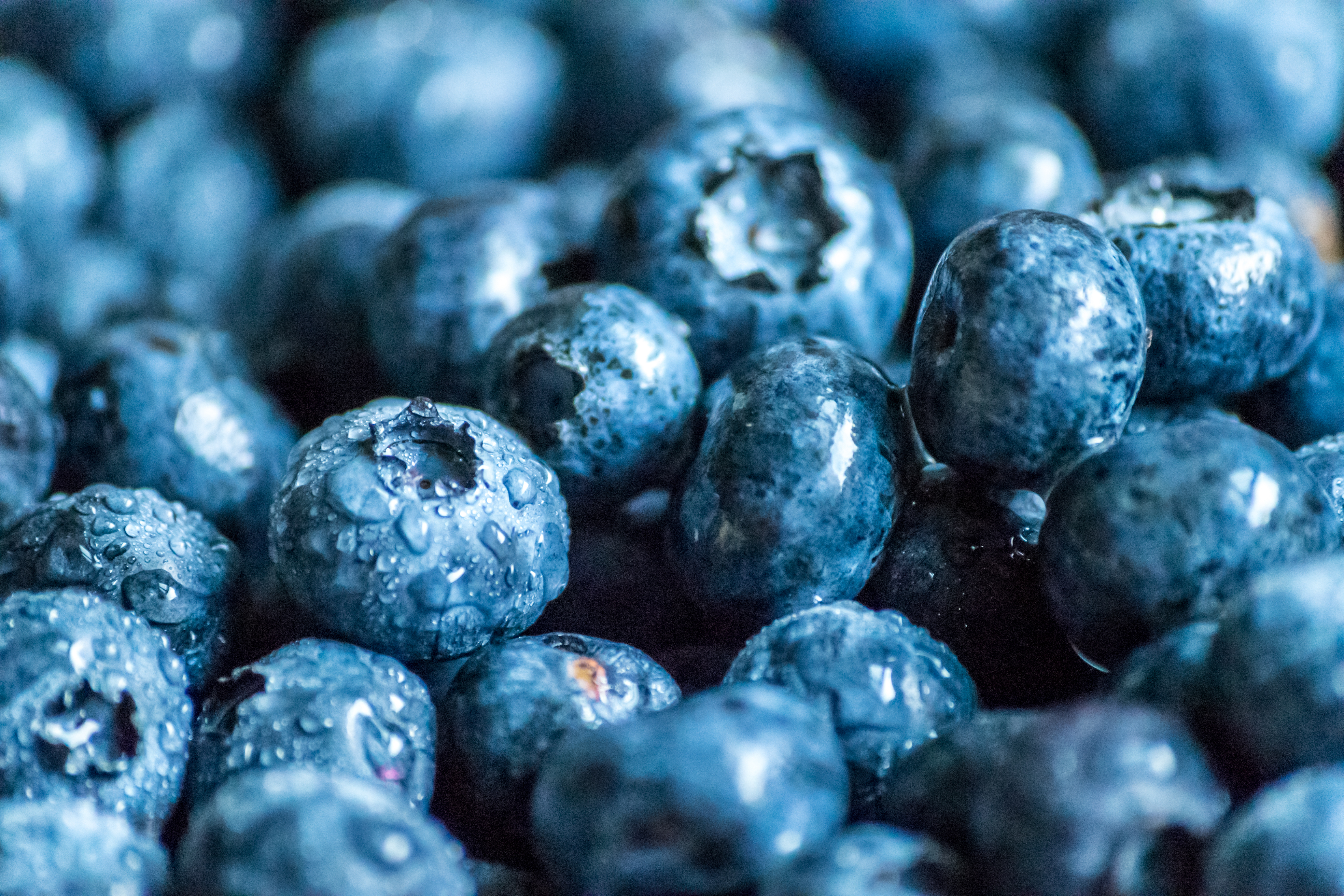 Blueberries