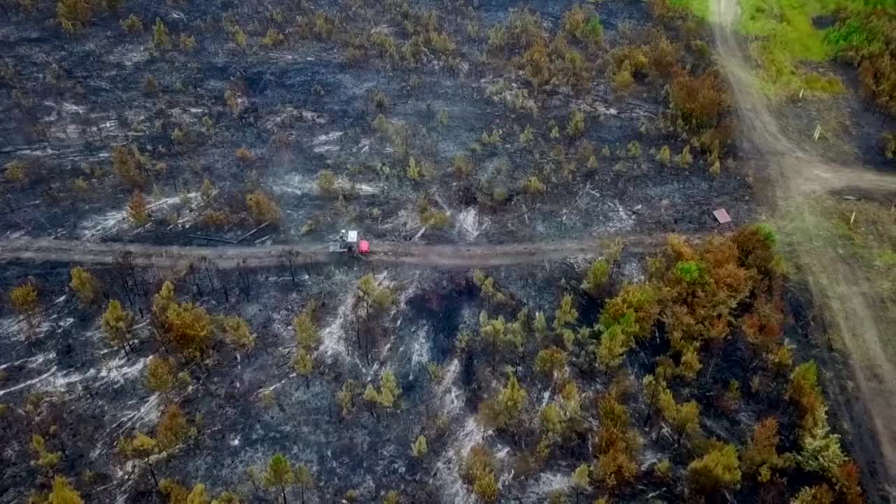 Poster image (8).jpg