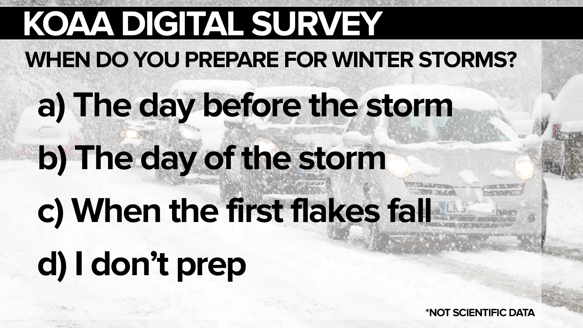 Winter Storm Survey