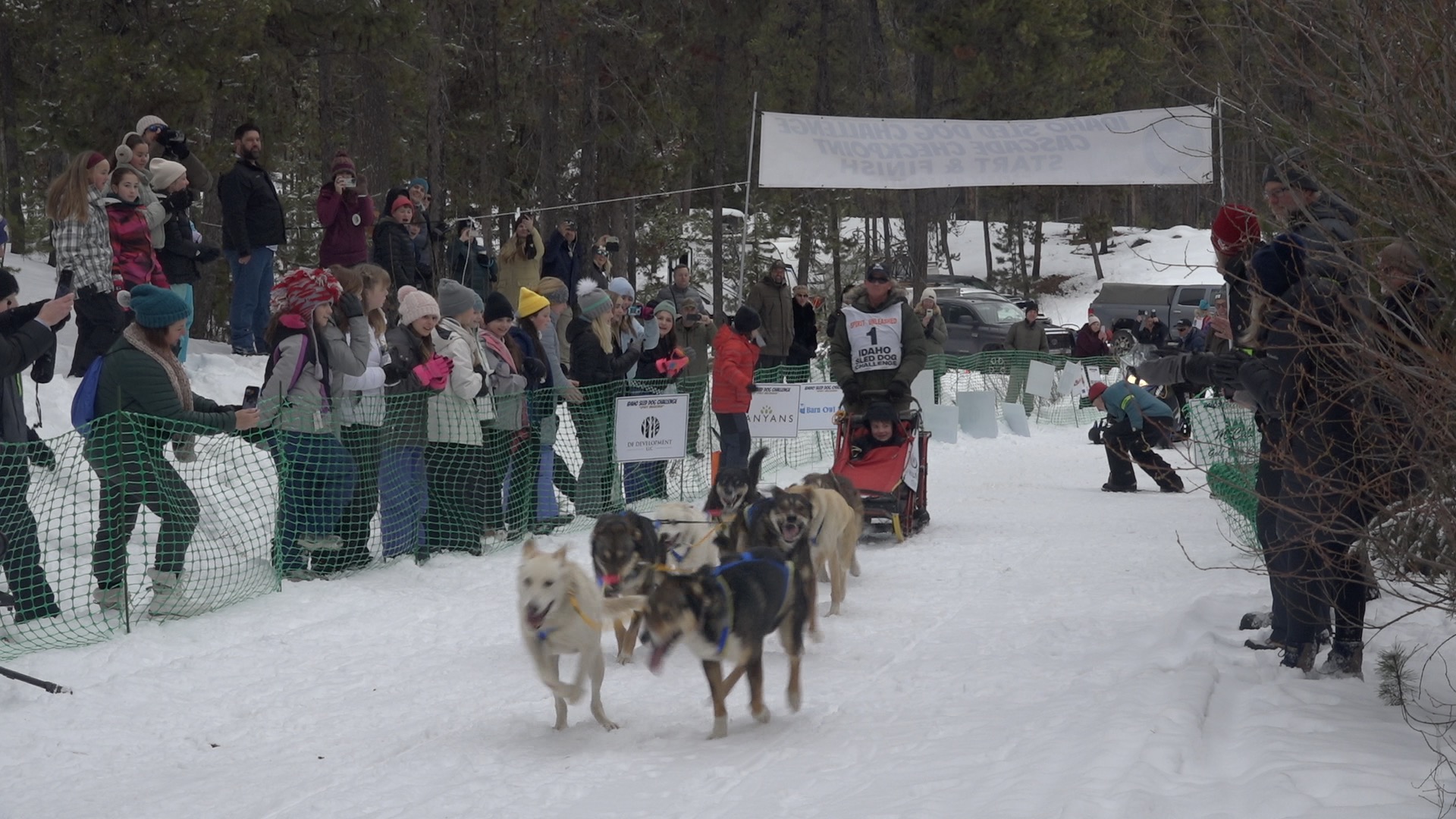 Sled Dog Challenge