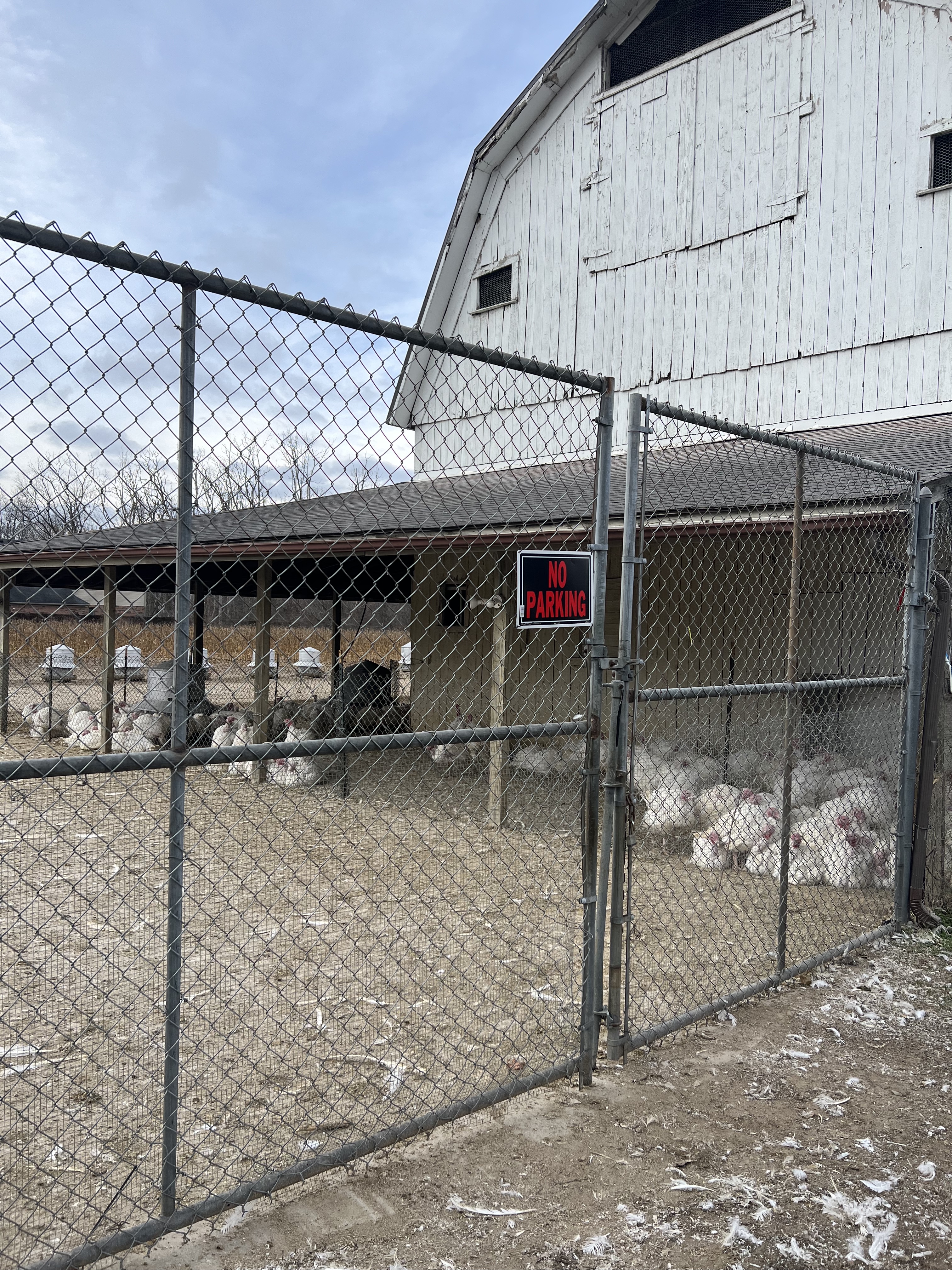 roperti farm.jpg