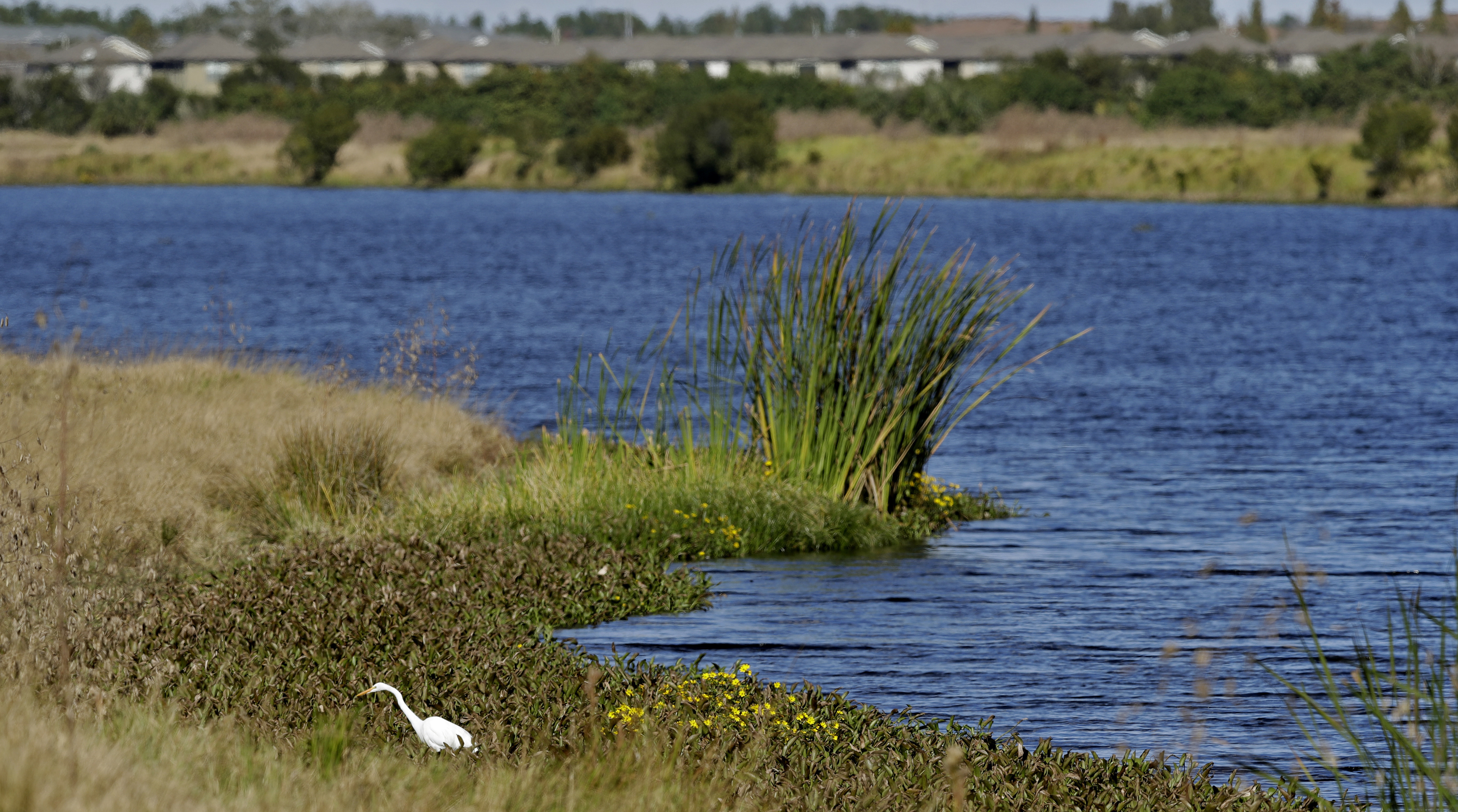 EPA Water Rule