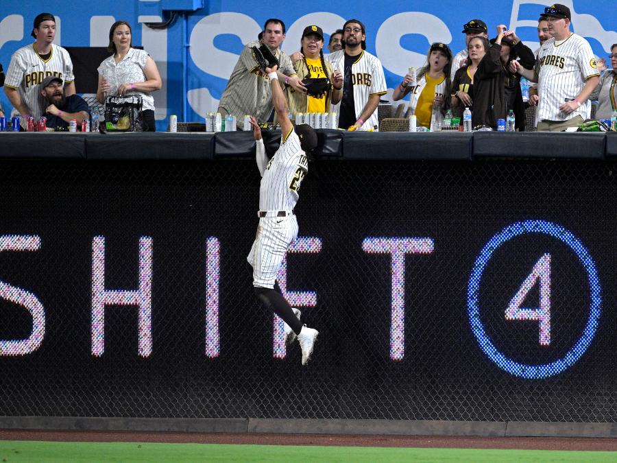 fernando_tatis_hr_catch_apphoto.png
