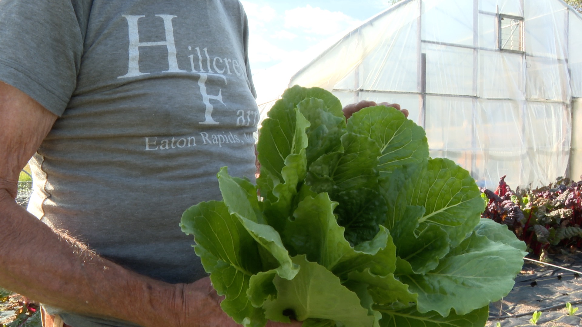 Leafy Green Hillcrest Farms Eaton Rapids
