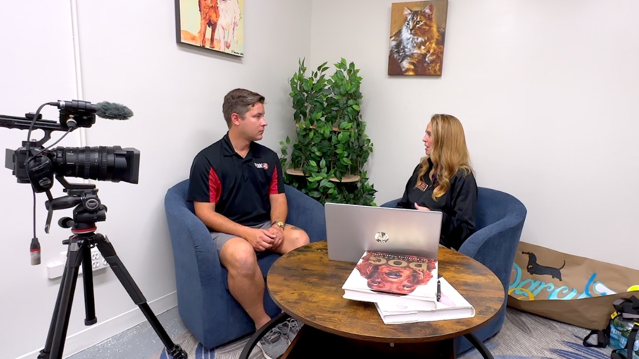 DEXTERS LAW FOLO THUMBNAIL.jpg