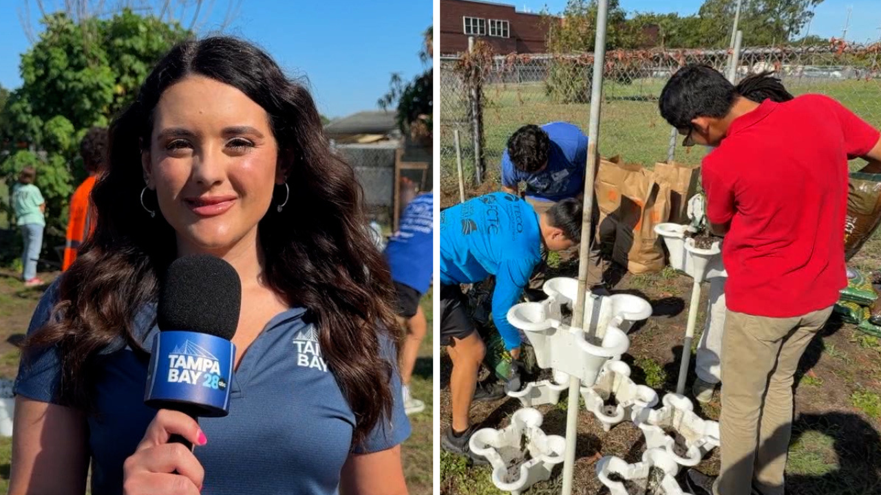 Sustainability makeover takes place at Young Middle Magnet School