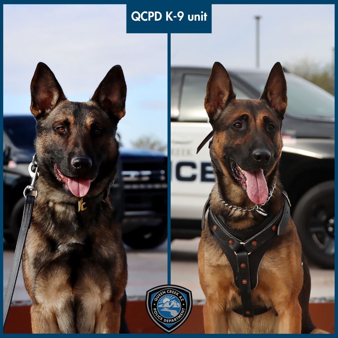 Queen Creek K9s.jpeg