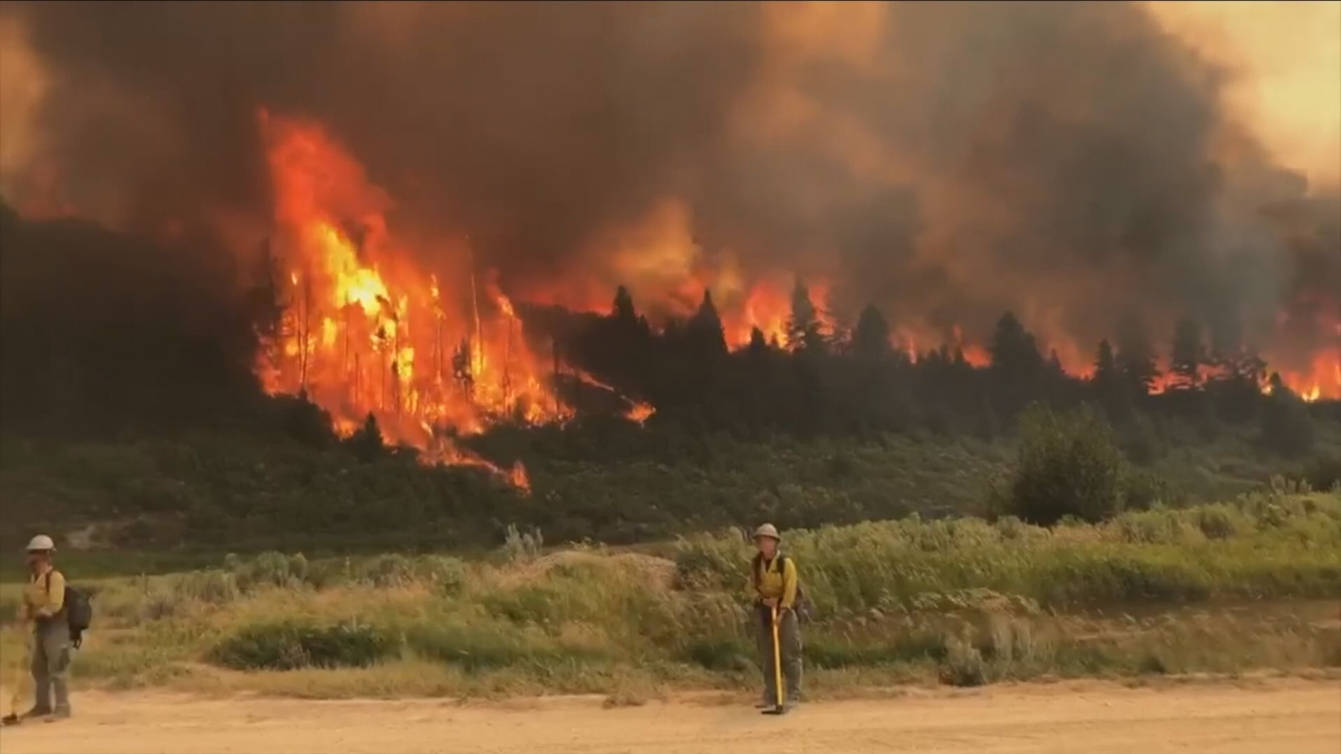 Professor: Several factors feeding wildfires, including climate change