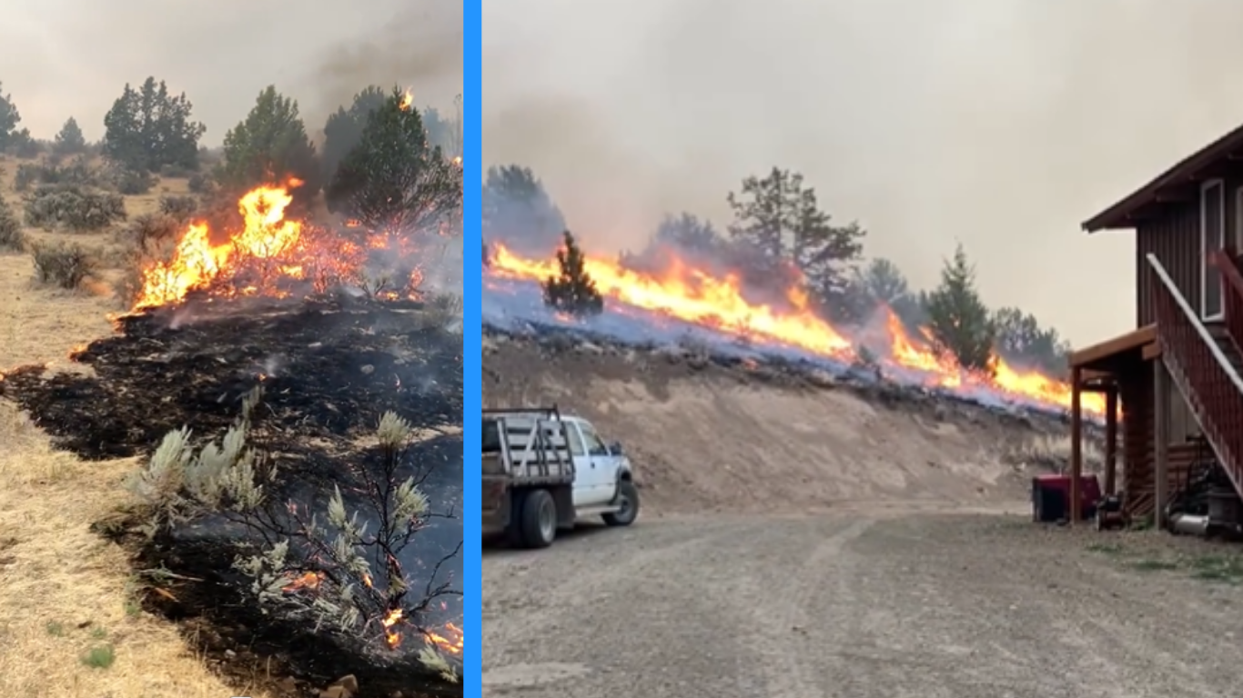 big grass fire (1).png