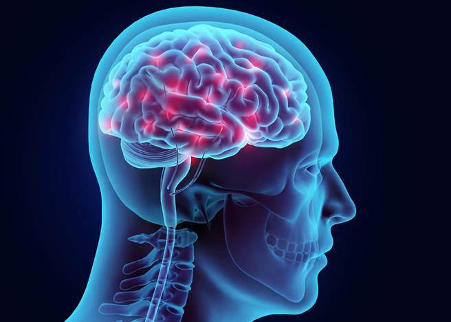 Brain-Graphic.jpg