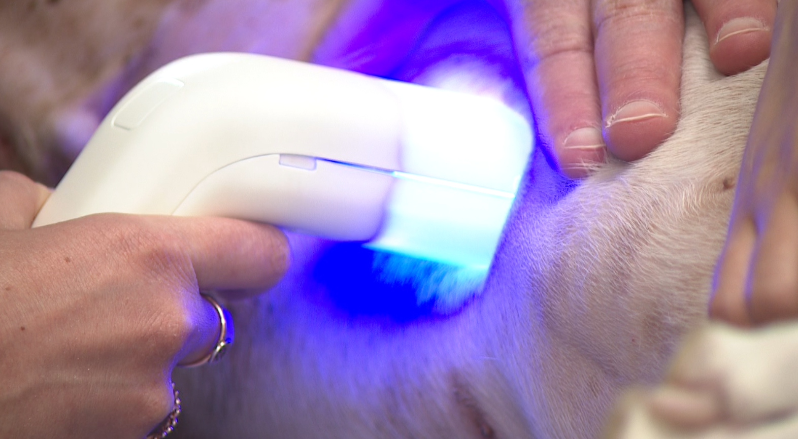 new vet technology.png