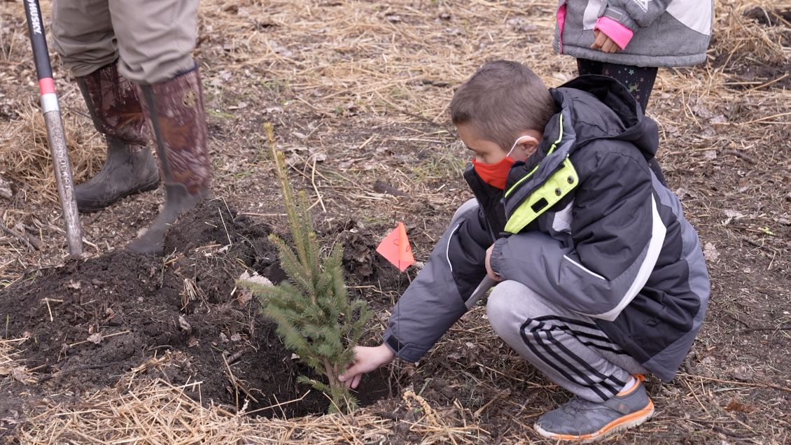 Community plants 75 trees in Bath