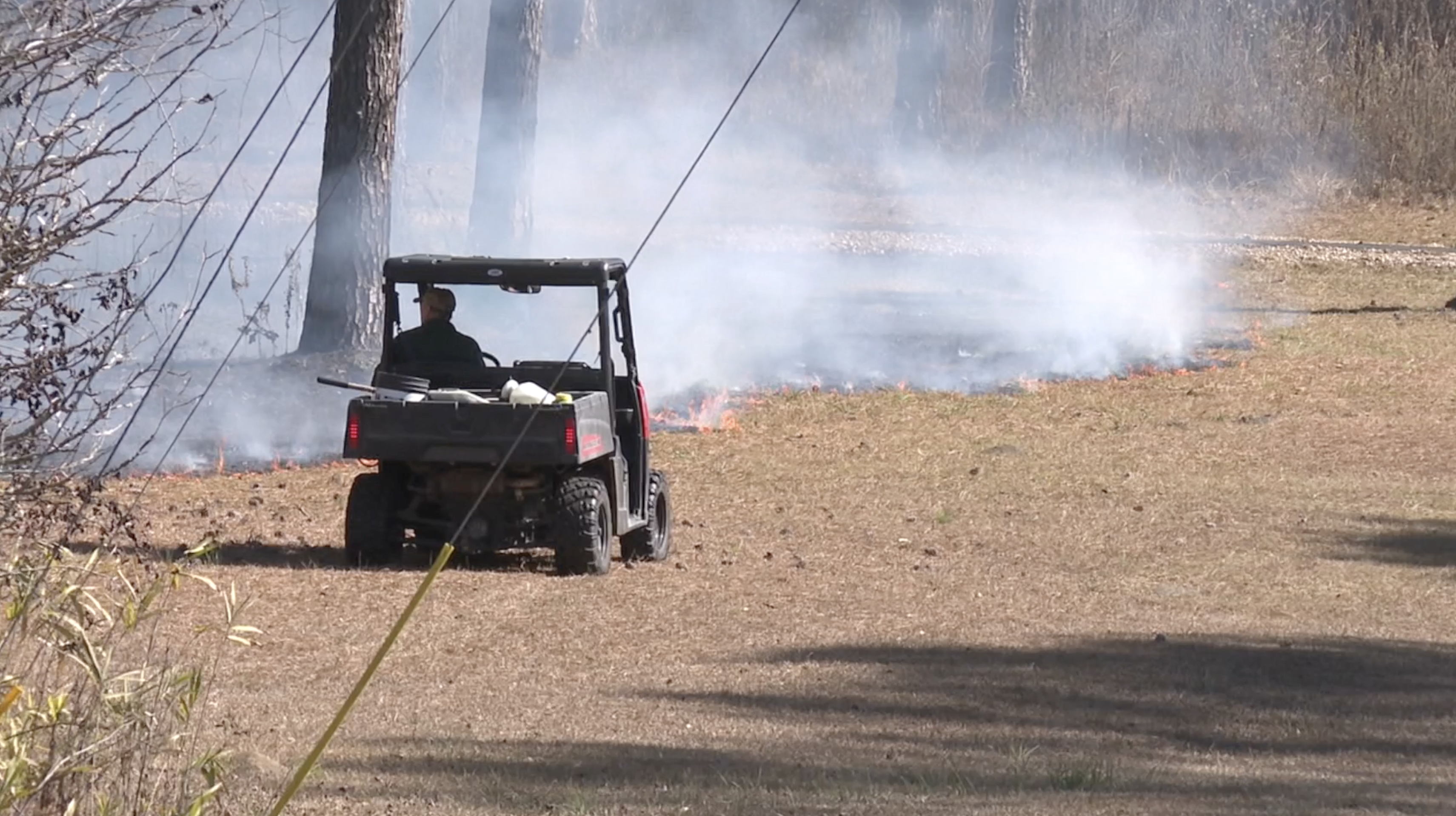 Thomas County leads Georgia in prescribed burns with over 70,000 acres burned last year